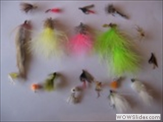 ASSORTED FLIES
