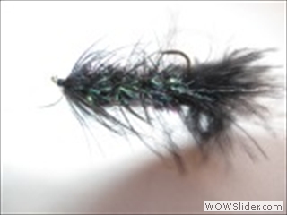 WOOLY BUGGER CRYSTAL