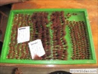 FLIES BEFORE PACKING