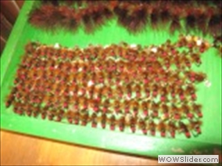 FLIES BEFORE PACKING
